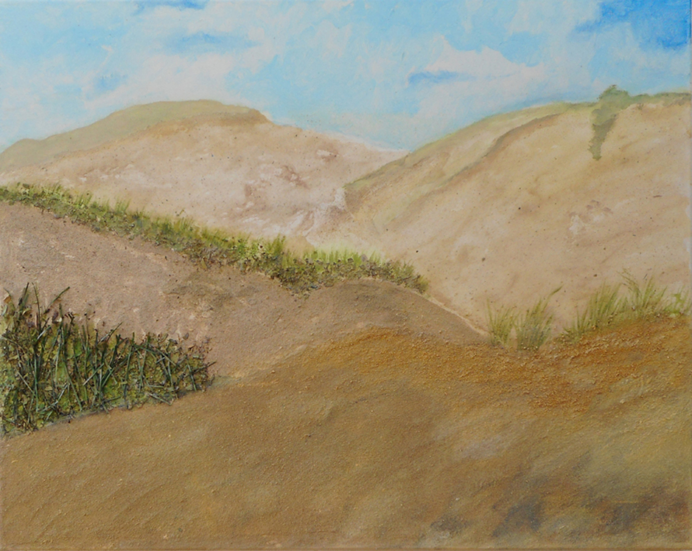 Duinen(2)