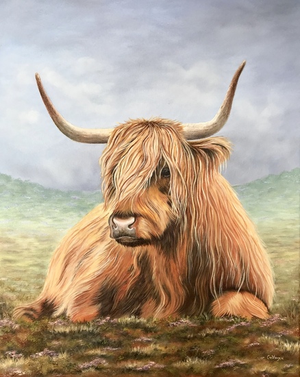Schotse Hooglander