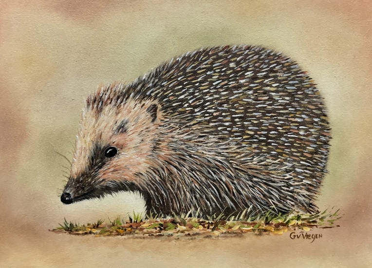 Egel 2