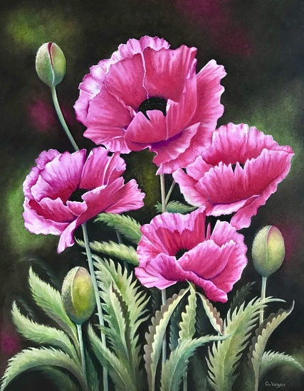 Papavers