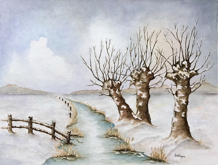 Winter in het Binnenveld