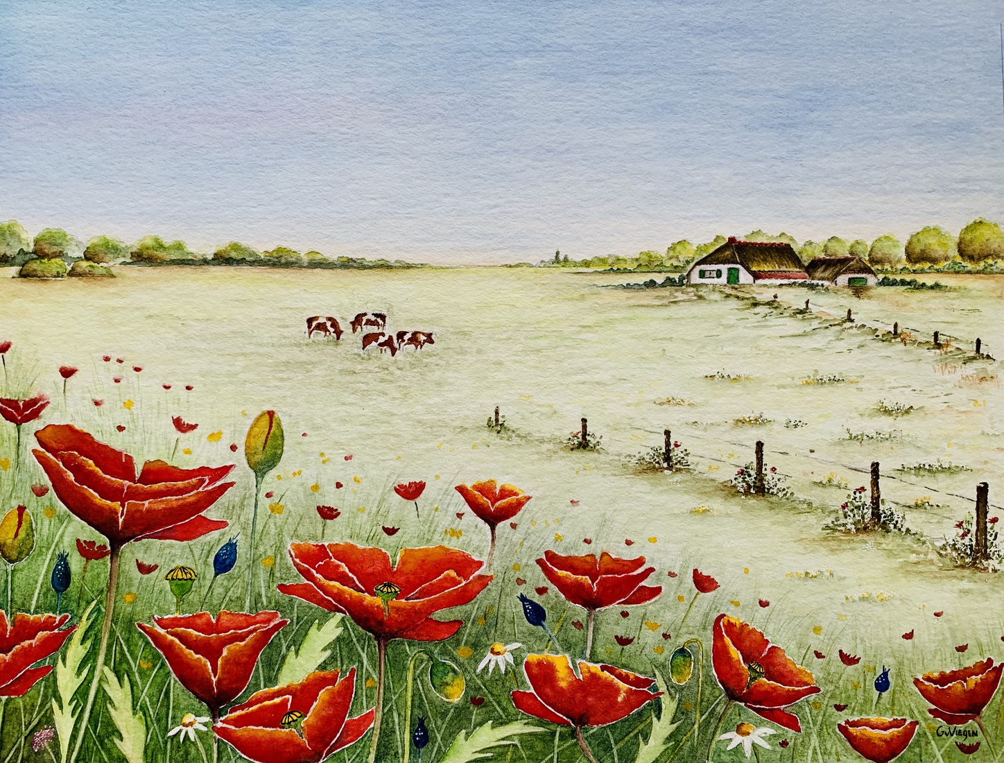 Zomer op het platteland.