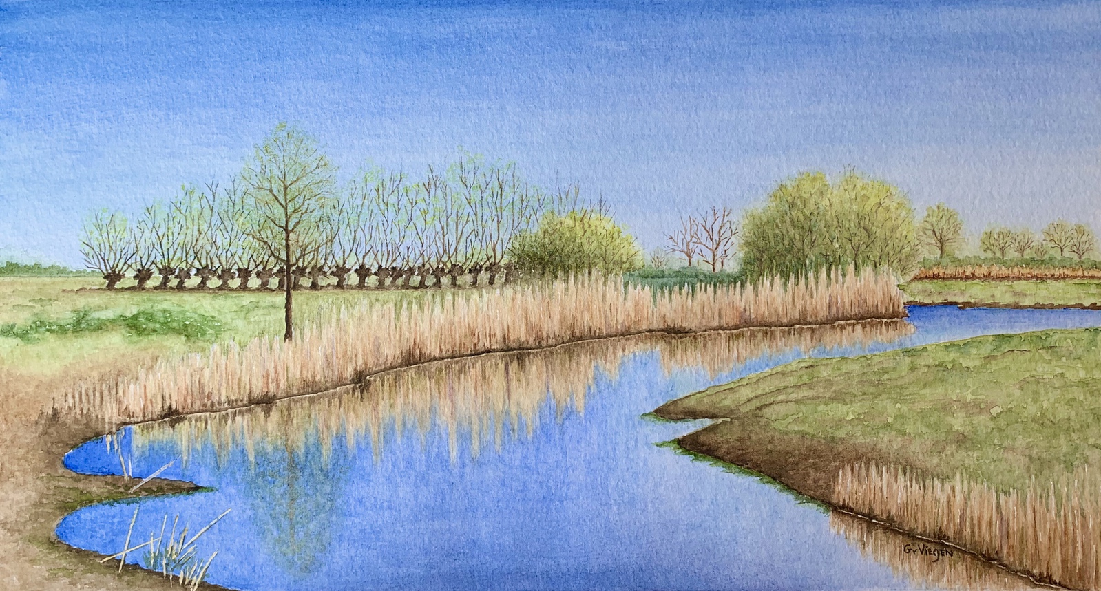 Voorjaar in het Binnenveld