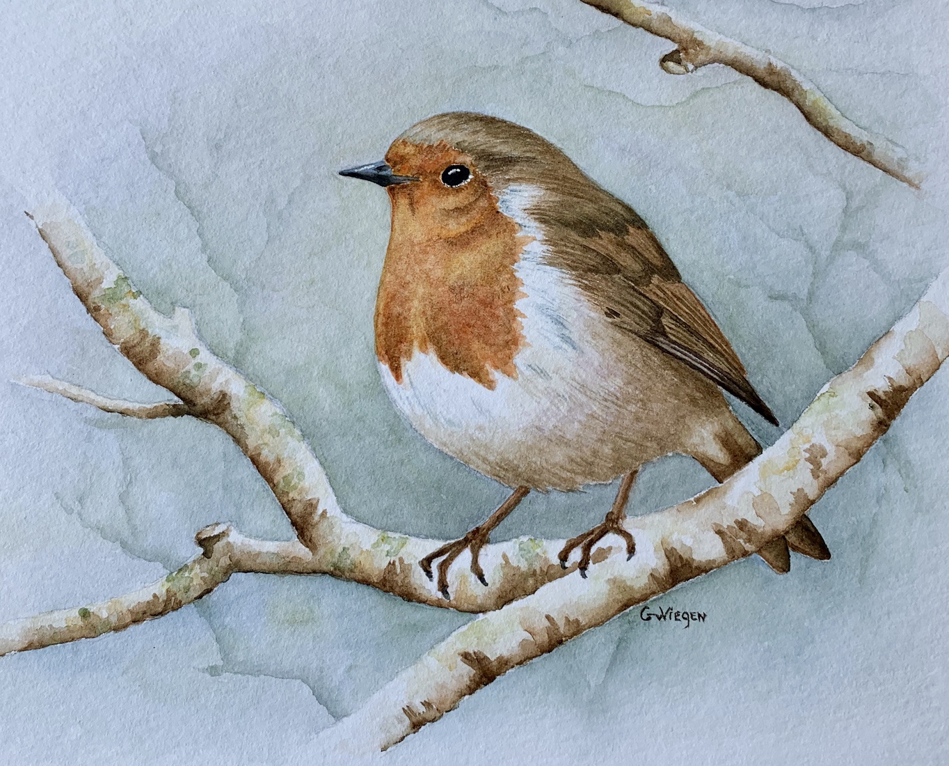 Roodborst