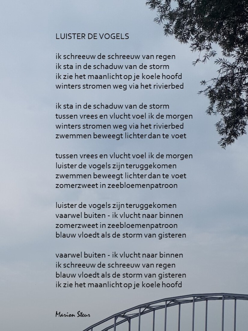 LUISTER DE VOGELS