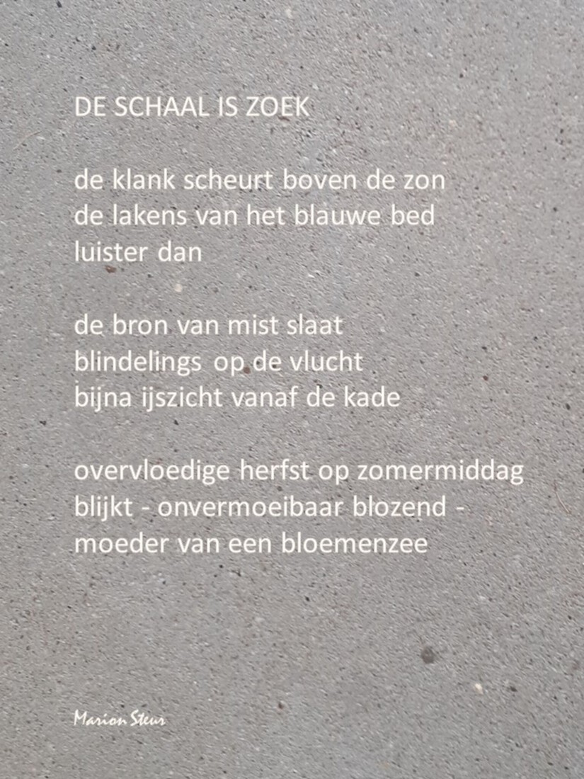 DE SCHAAL IS ZOEK