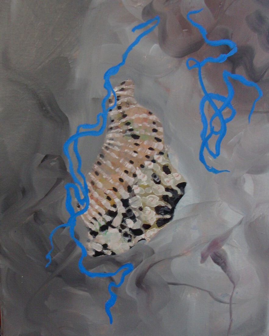 schelp 3