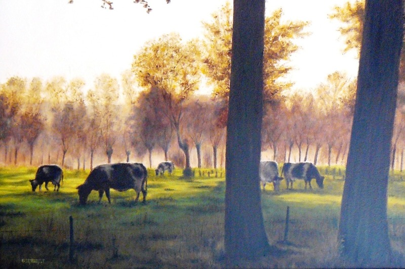 Grazende koeien
