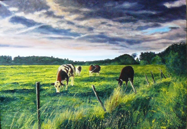 Koeien in weide - dreigende lucht