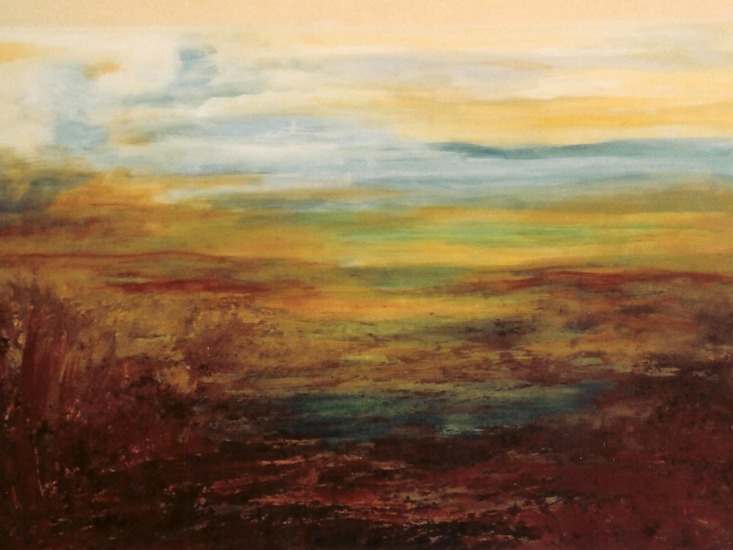 landschap veengebied
