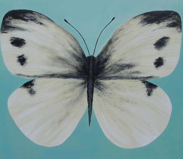 vlinder 2