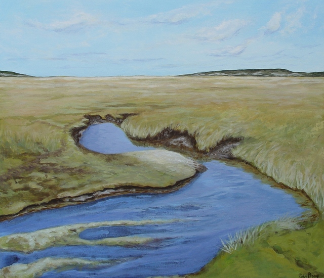 landschap 3 de slufter Texel