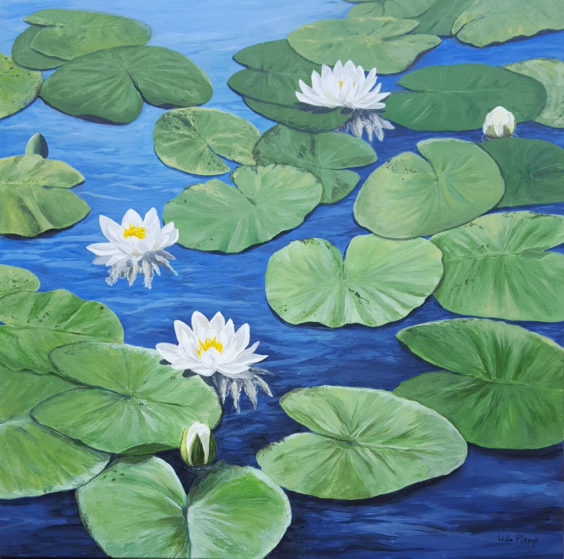 Waterlelie's