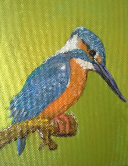ijsvogel