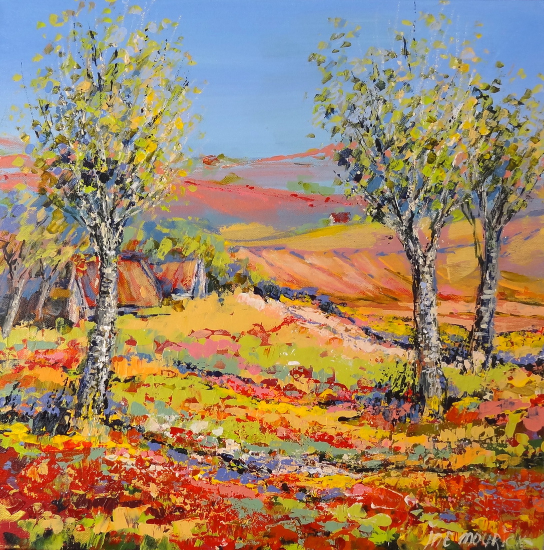 Red fields of poppies - (sold)