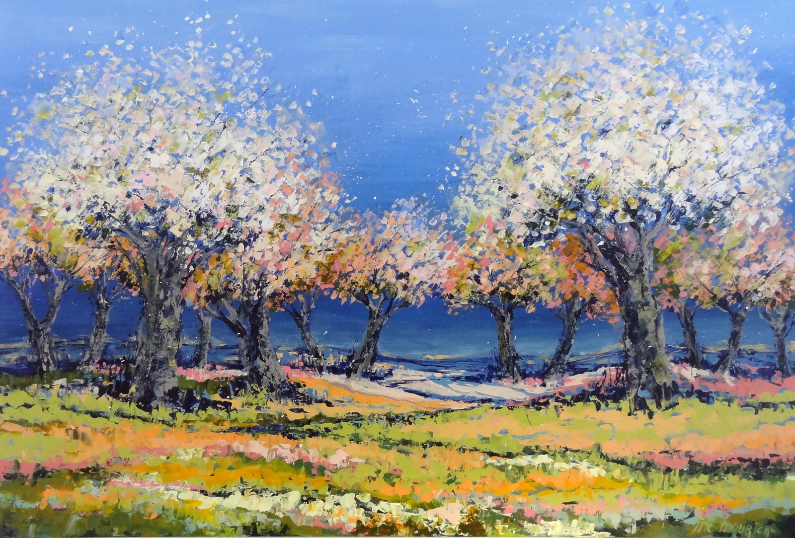 Spring evening