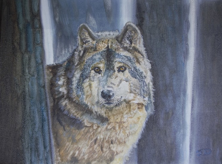 Wolf