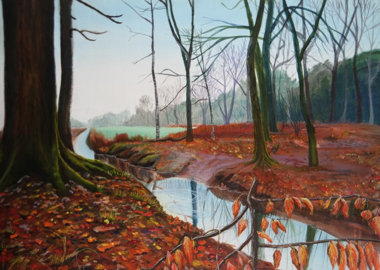 het reeshof bos