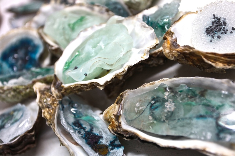 Zeeuwse Oester