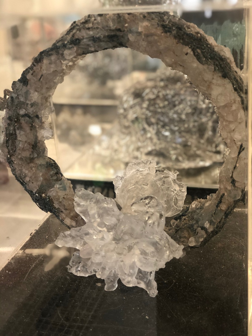 ring bloem