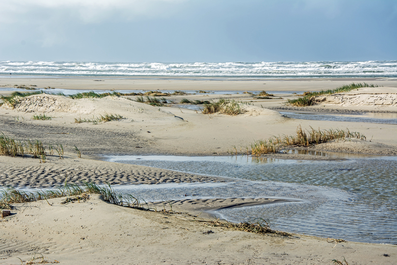 Noordzee strand II