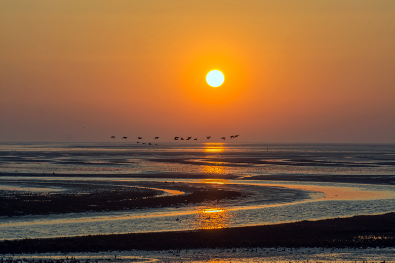 Golden sunrise