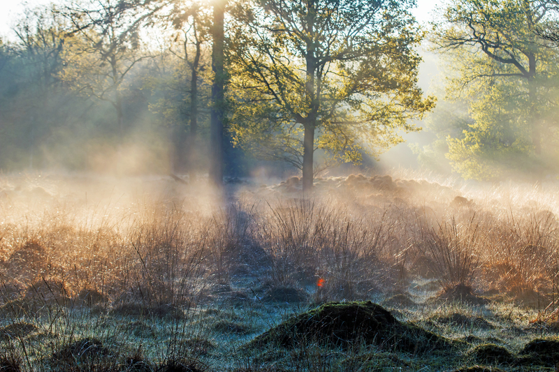Mystiek Slenerzand