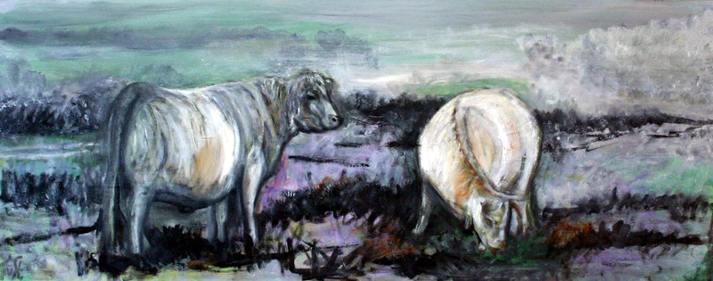 'COWS IN WINTER'