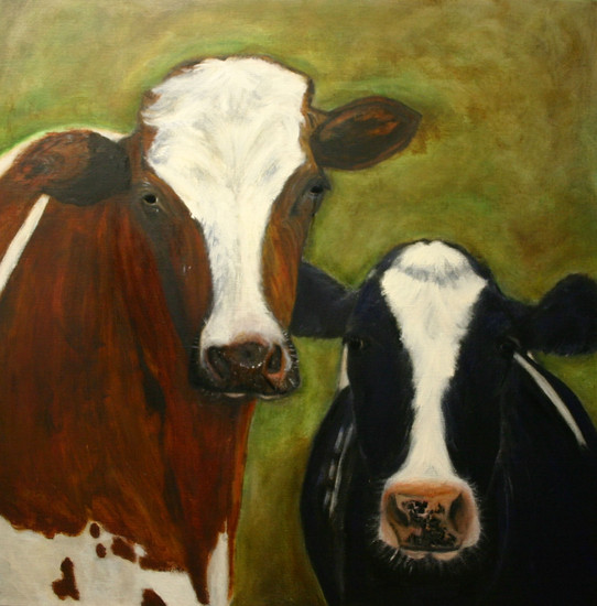 'DUTCH COWS'