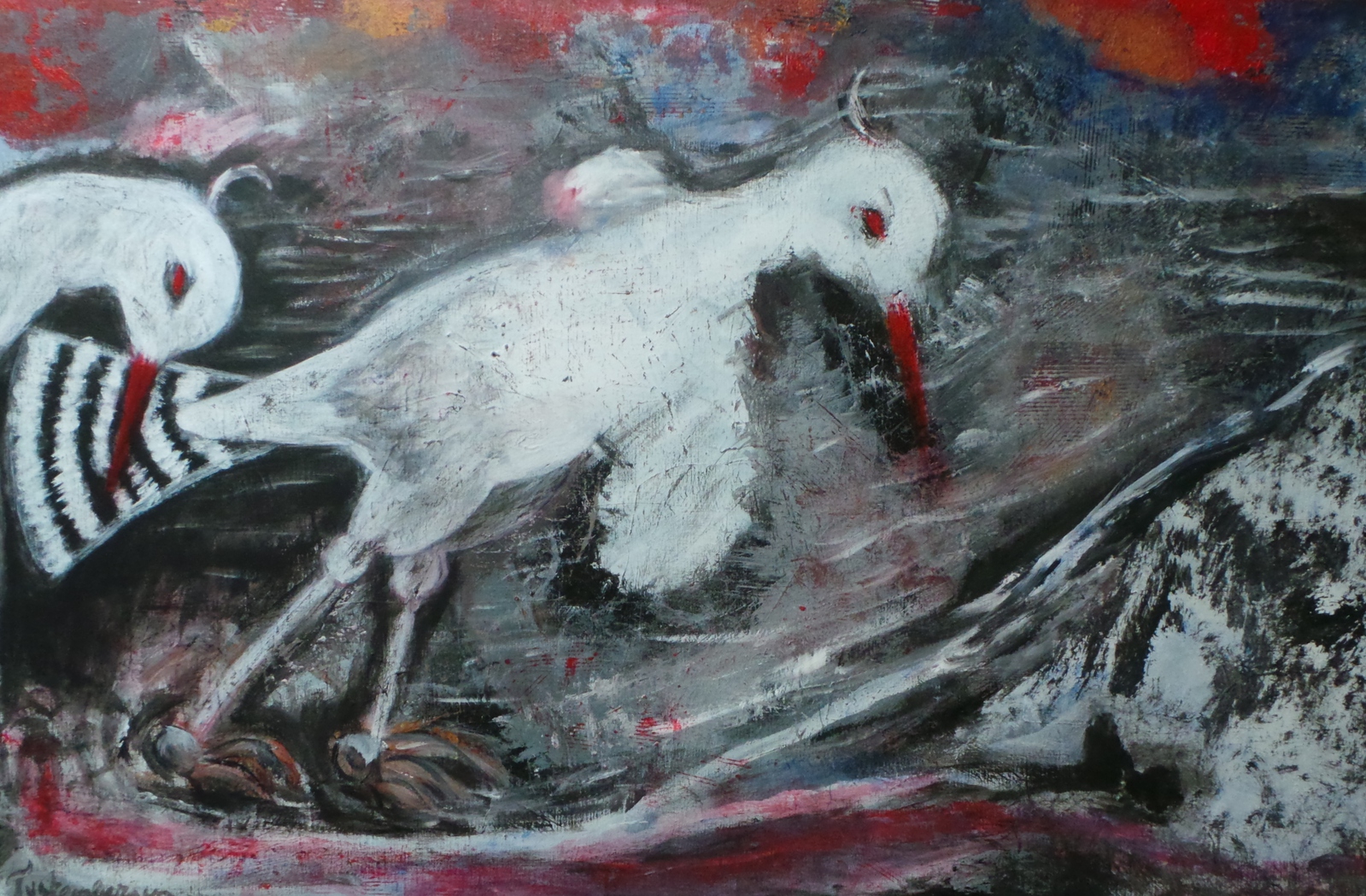 Birds in the storm