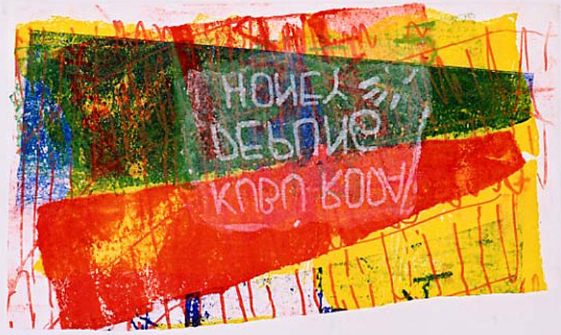 'Visnetten in grafiek 3.' - mono-print