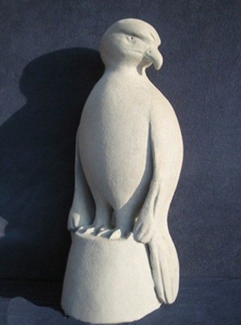 rapace;roofvogel