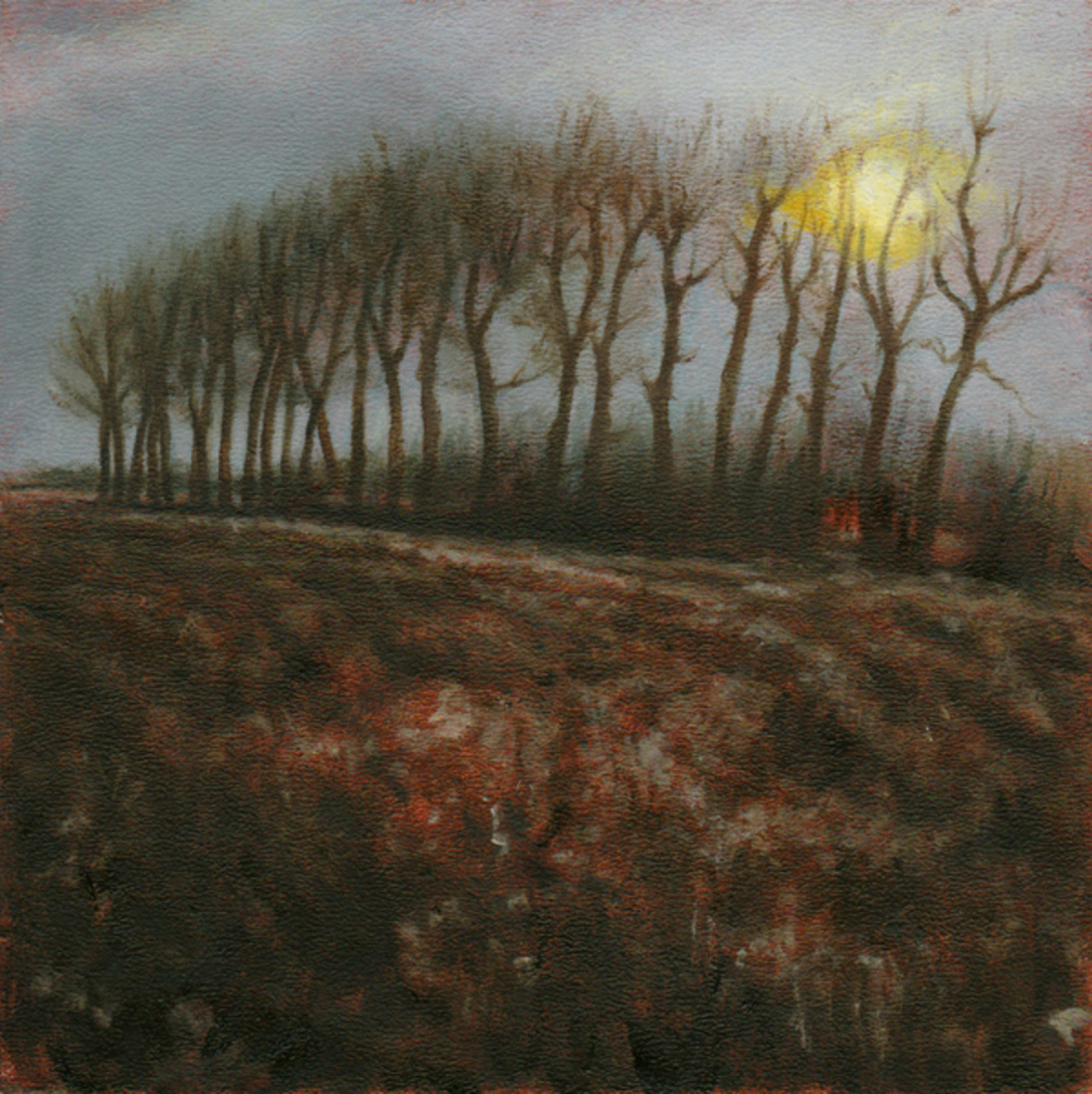 Lange Linschoten