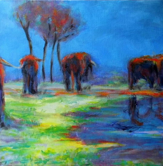 Maashorst gebied met schotse hooglanders