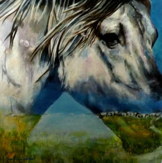 wilde paarden