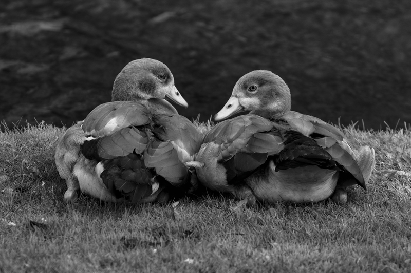 'Finally Together'