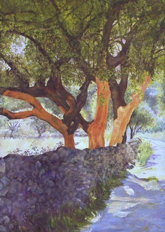 Landschap met kurkeiken