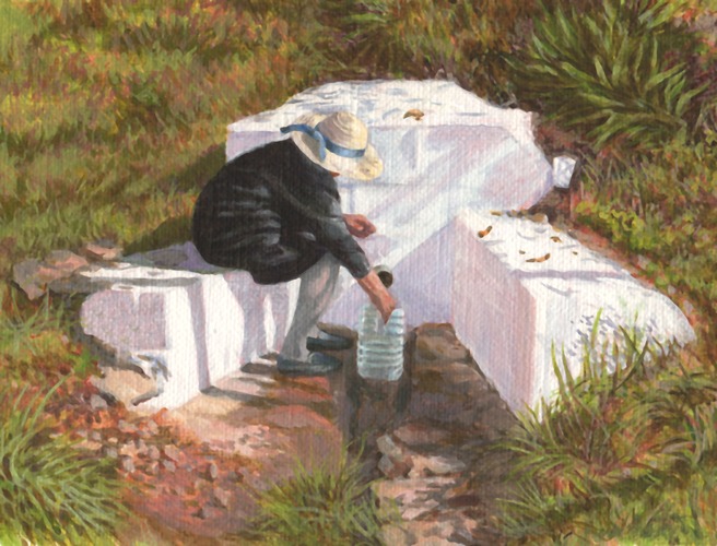 Water halen