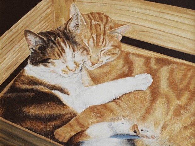Katten
