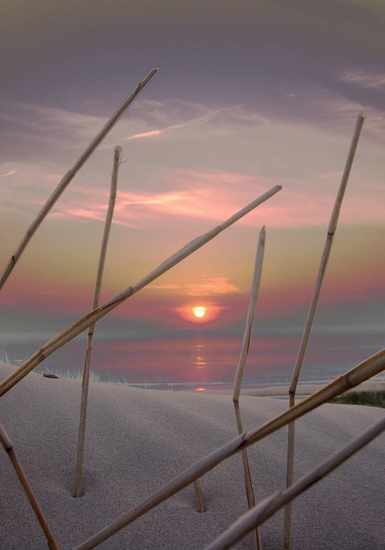 At sunset 0017 - 2/6
