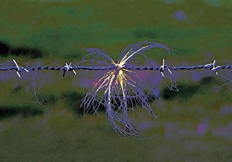 Iron wire 0035 - 1/6