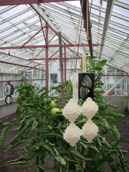 Greenhouse with tomatoes 2