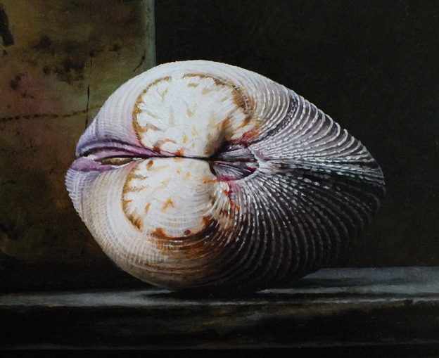 Detail 2 van lantaren en schelpen