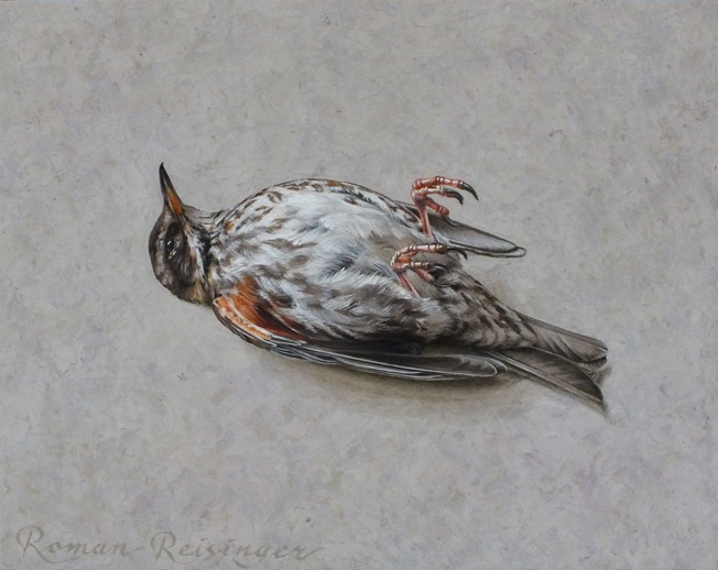 Stilleven met koperwiek
