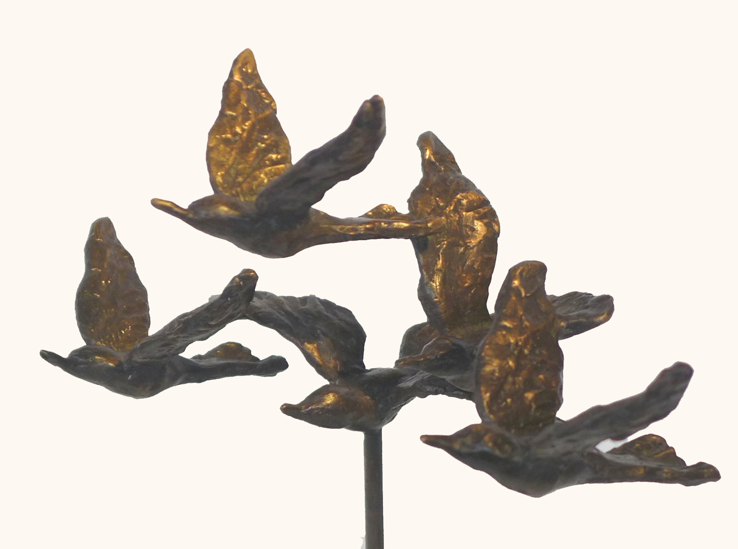 Vijf vrije vogels