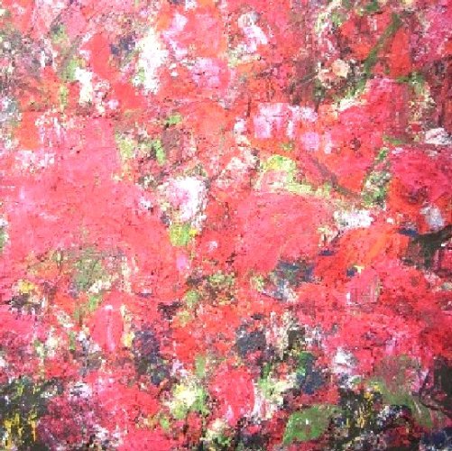 rood landschap