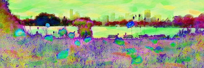 Kralingse plas vibrant