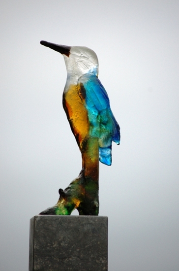 ijsvogel 2