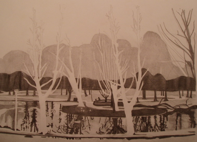 Park in de winter