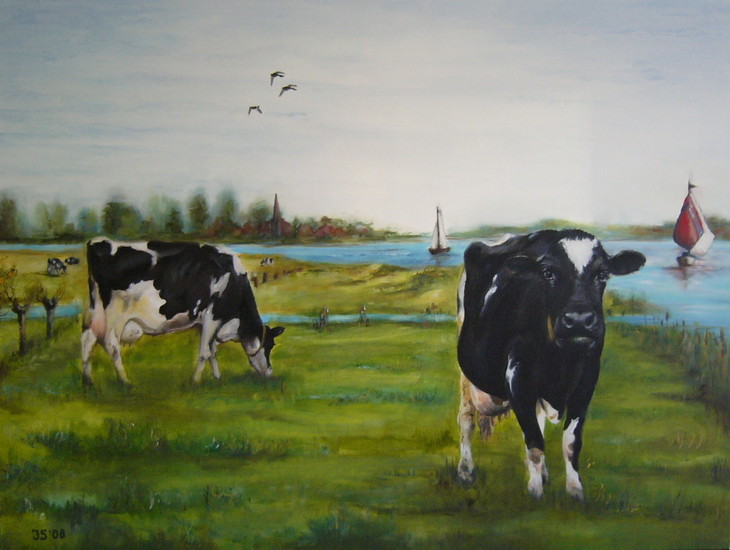 koeien in de polder